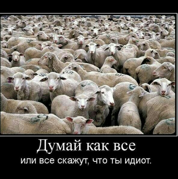 Британский директор похоронного бюро рассказывает правду