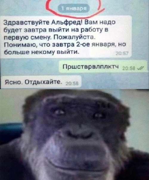 Весёлый полтишок 03.01