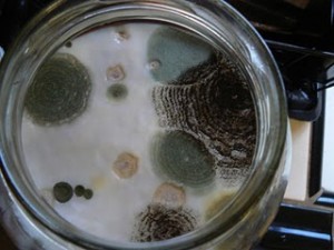 16 фотографий из разных сфер жизни, доходчиво объясняющих «Что будет, если…»