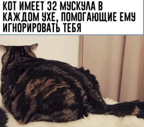 Немного картинок и прочей хреноты Vol. 8