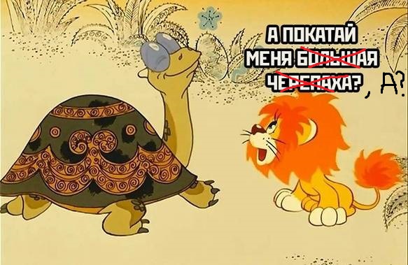 Весёлый полтишок 24.05.22