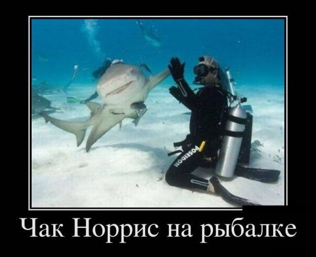 Картинки с надписями 28.07.22