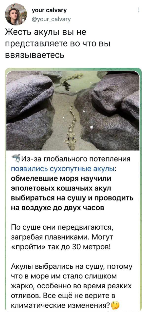 Немного картинок для настроения - 127