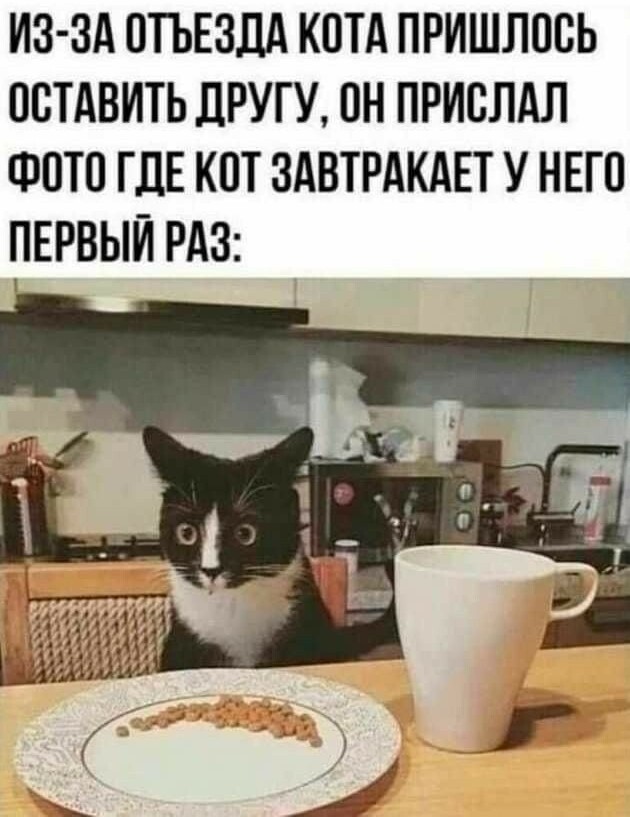 Юмор в картинках и без 29.08.2022