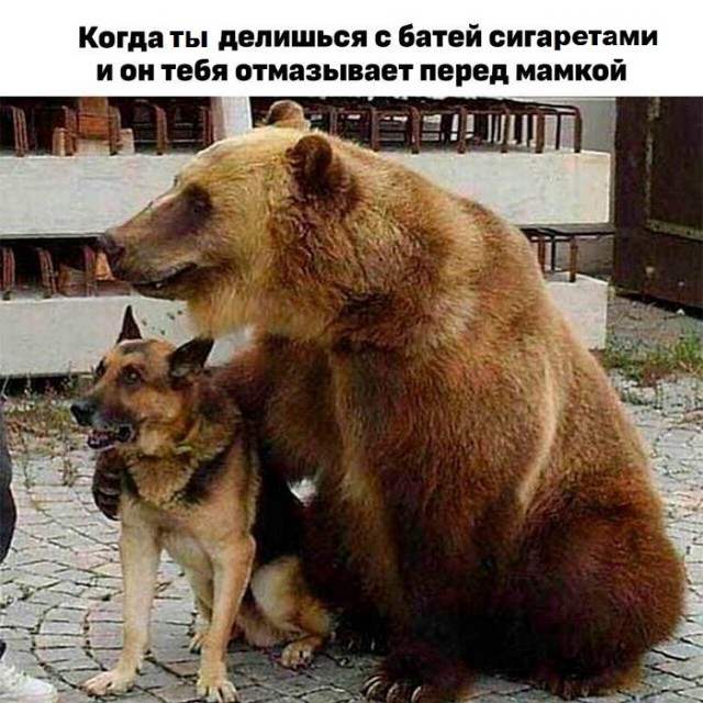 Картинки разные на злобу дня и на доброту