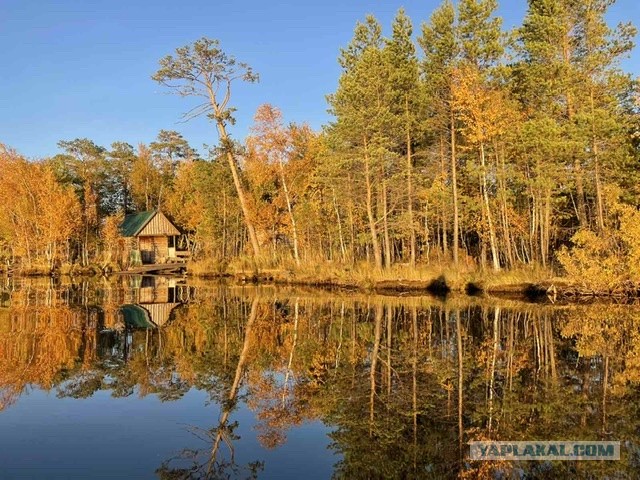 А может быть поделимся печальной красотой?