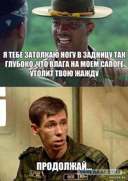 Весёлый полтишок 12.10.22