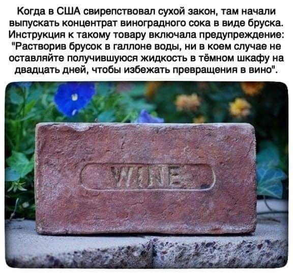 Так себе картинки 30.10.22