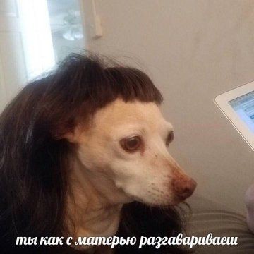 Народная меДИЧина 3017