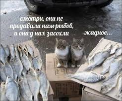 Рыбовладелец