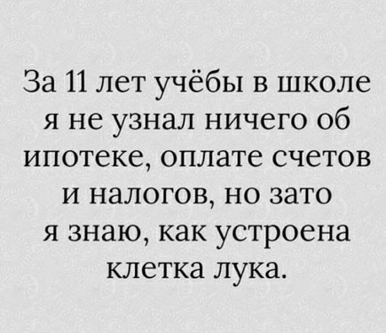 К обеду подвезли свежие баяны
