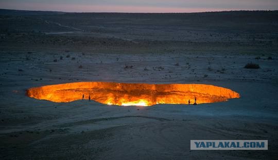 Этот зверь превратил свою морду в рупор для безумных воплей