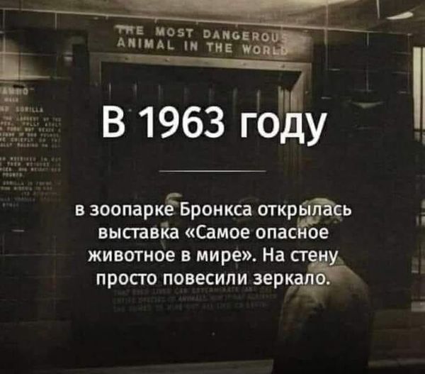 Всего понемногу. От 04.03.24