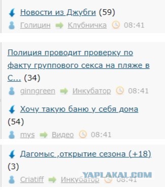Полиция проводит проверку по факту группового секса на пляже в Сочи