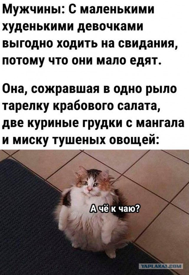 Отряд быстрой деградации
