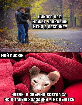 Юмор в картинках и без