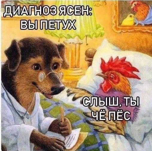 Весёлый полтишок 19.09.24