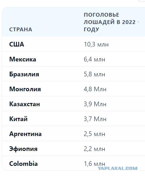 В Госдуме предложили выдавать многодетным семьям лошадь вместо автомобиля