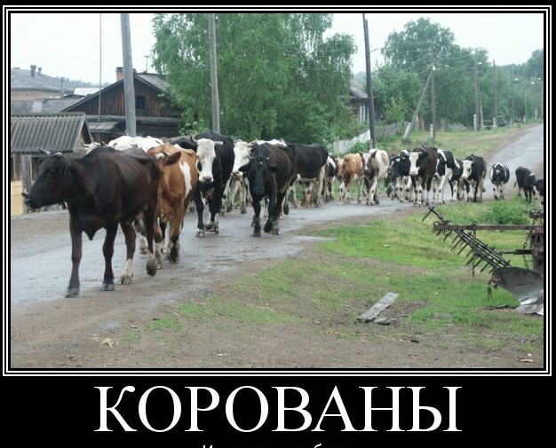 Про блокировки и всю херню
