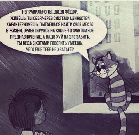 Кто чем живет в 40+ лет?