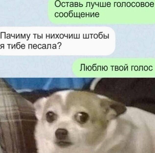 ЯПовский ЛикБез