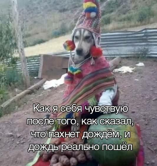 Так себе картинки 29.07.25