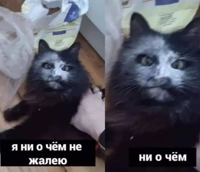 Ну и как такую ругать?