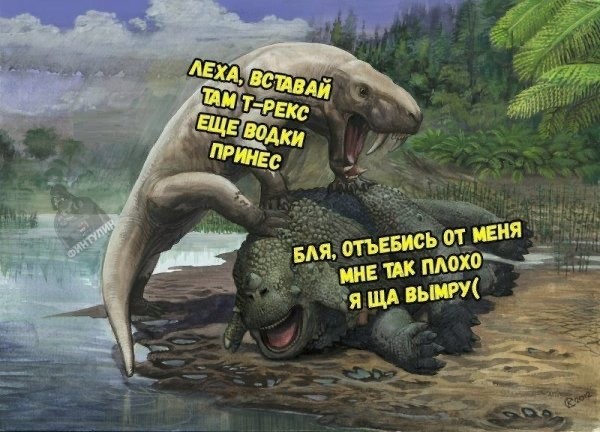 Картинки выходного дня