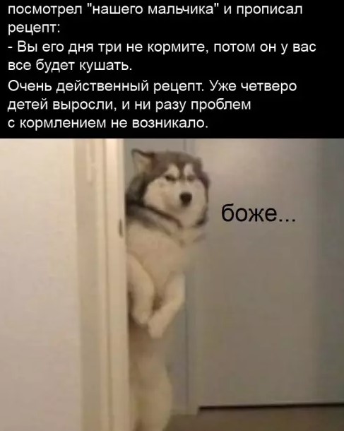 Картиночки, баянчики 16 марта