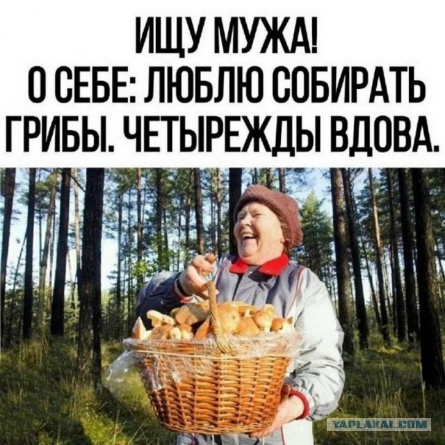 Никому не надо?