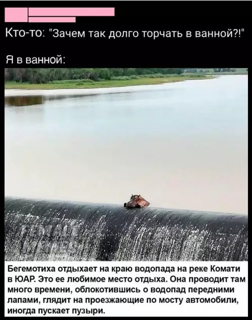 Картиночки, баянчики 27 марта