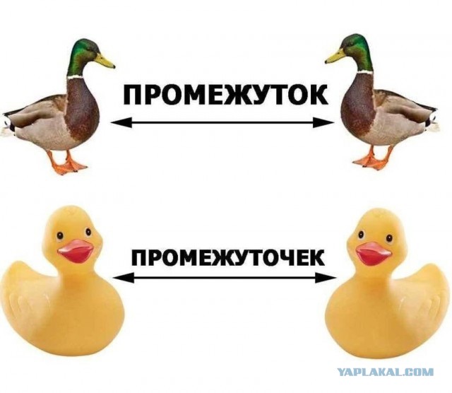 Сударыня Тударыня
