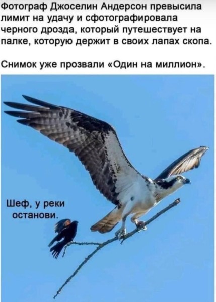 https://s00.yaplakal.com/pics/pics_original/8/0/4/20986408.jpg