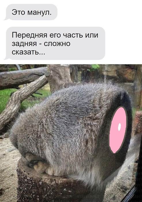 Картинки для деградации 201 (разной степени свежести)