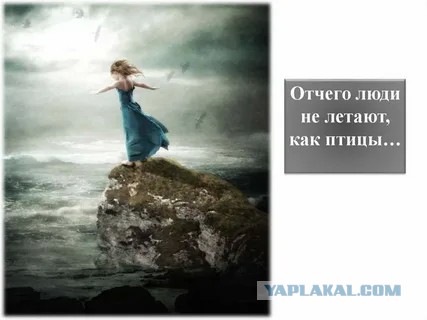 Мозгов нет, считай калека
