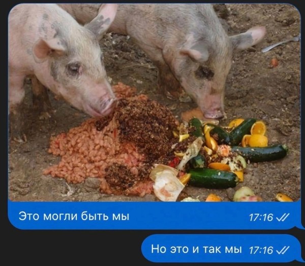 Веселое настроение в картинках 31.07.26