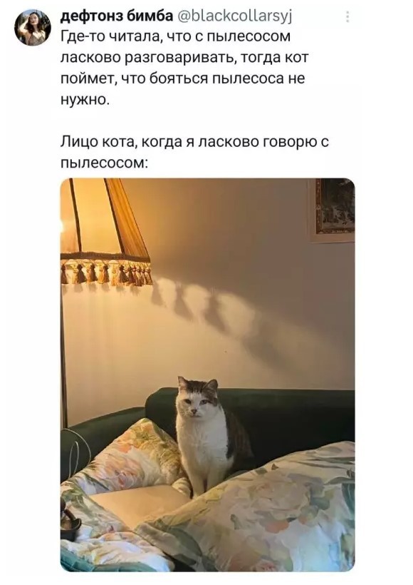 Картиночки, баянчики 01 августа