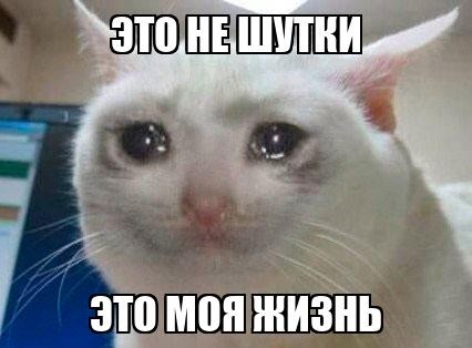 ИИ может убить всё человечество уже к концу десятилетия