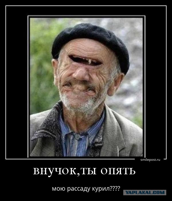 Сидишь себе такой