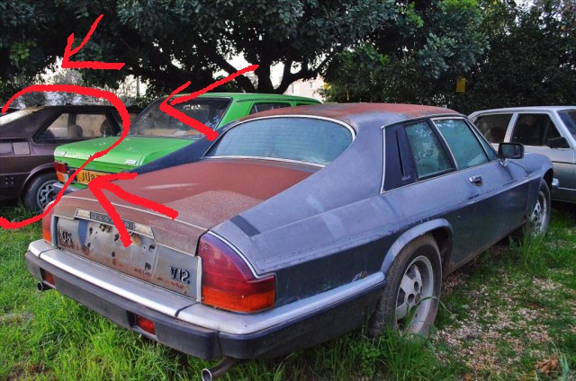 Застывшие во времени