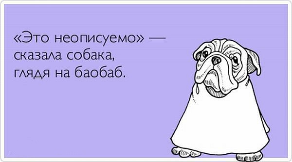 Лучшие  «аткрытки»года
