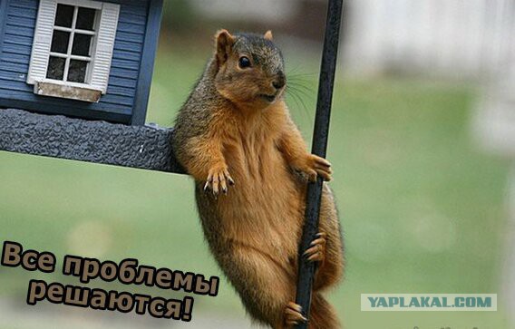 Позитивные картинки