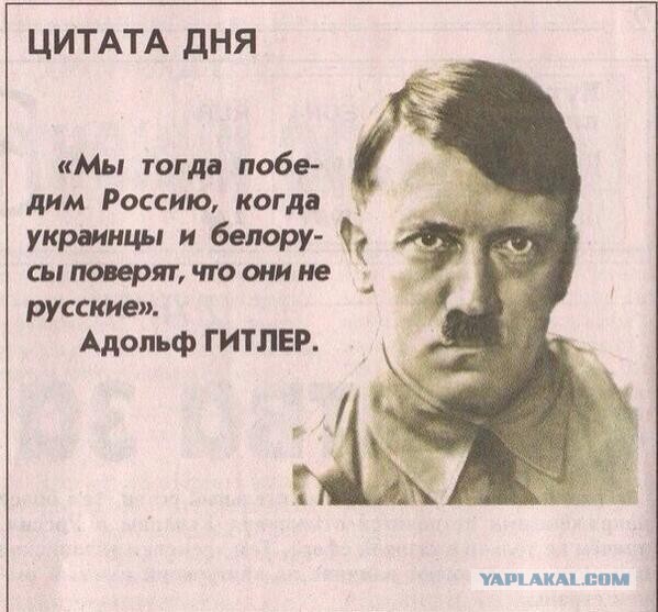 Бесславные ублюдки...