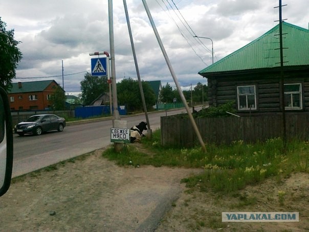 Мой Нижневартовск!