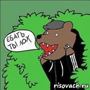 Медведи почти на все случаи жизни