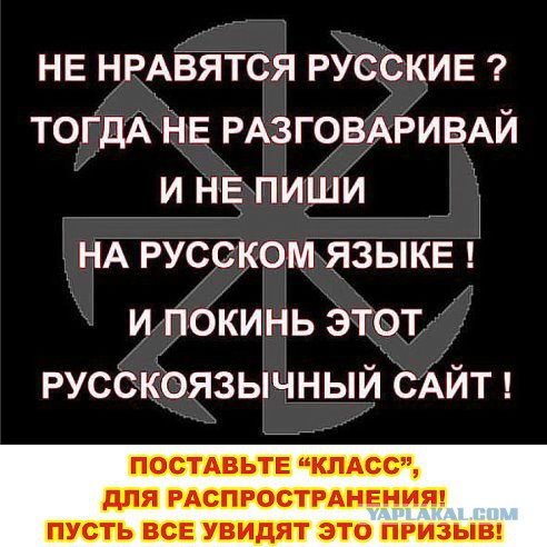 Ополченцы снова уничтожают"Айдар"