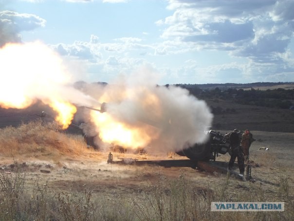Снова "боевые бобры" Новороссии