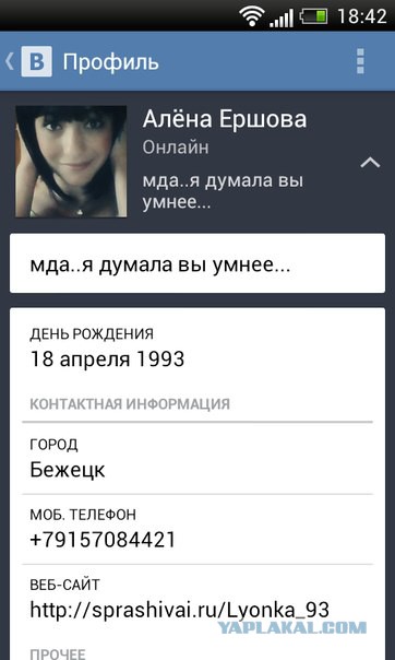В Тверской области молодые люди постирали котёнка
