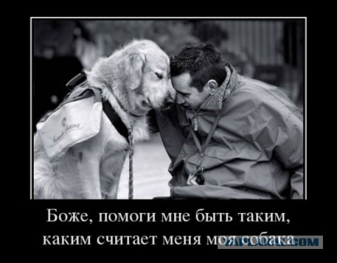 Она не кусается