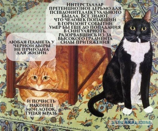 Всякая хренотень